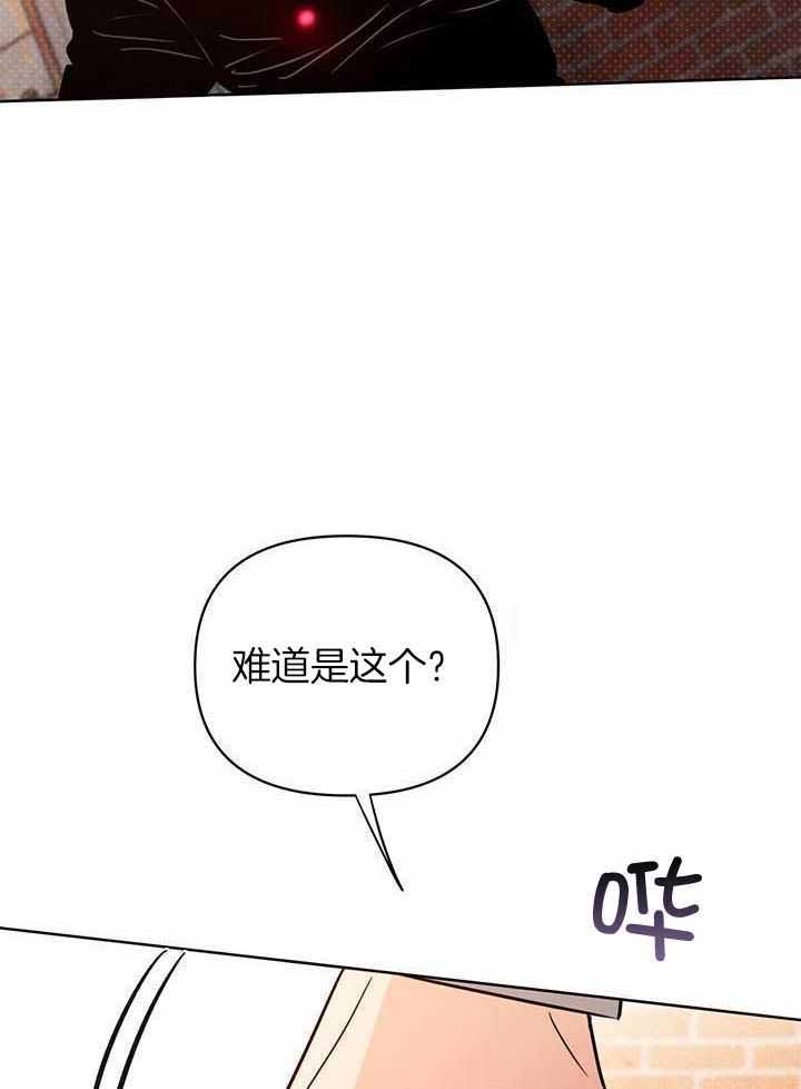 《关上闪光灯》漫画最新章节第117话免费下拉式在线观看章节第【26】张图片