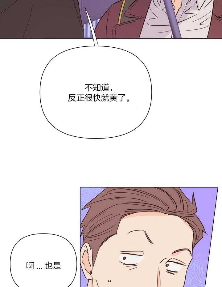 《关上闪光灯》漫画最新章节第88话免费下拉式在线观看章节第【27】张图片