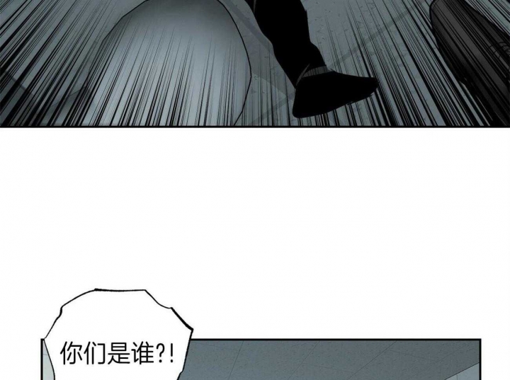 《疯子与疯子》漫画最新章节第136话免费下拉式在线观看章节第【34】张图片