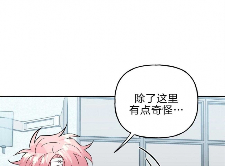 《疯子与疯子》漫画最新章节第117话免费下拉式在线观看章节第【6】张图片