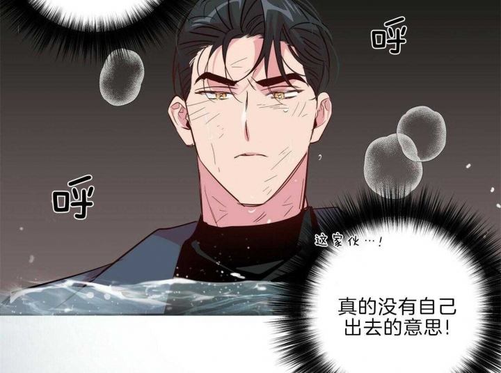 《疯子与疯子》漫画最新章节第116话免费下拉式在线观看章节第【34】张图片