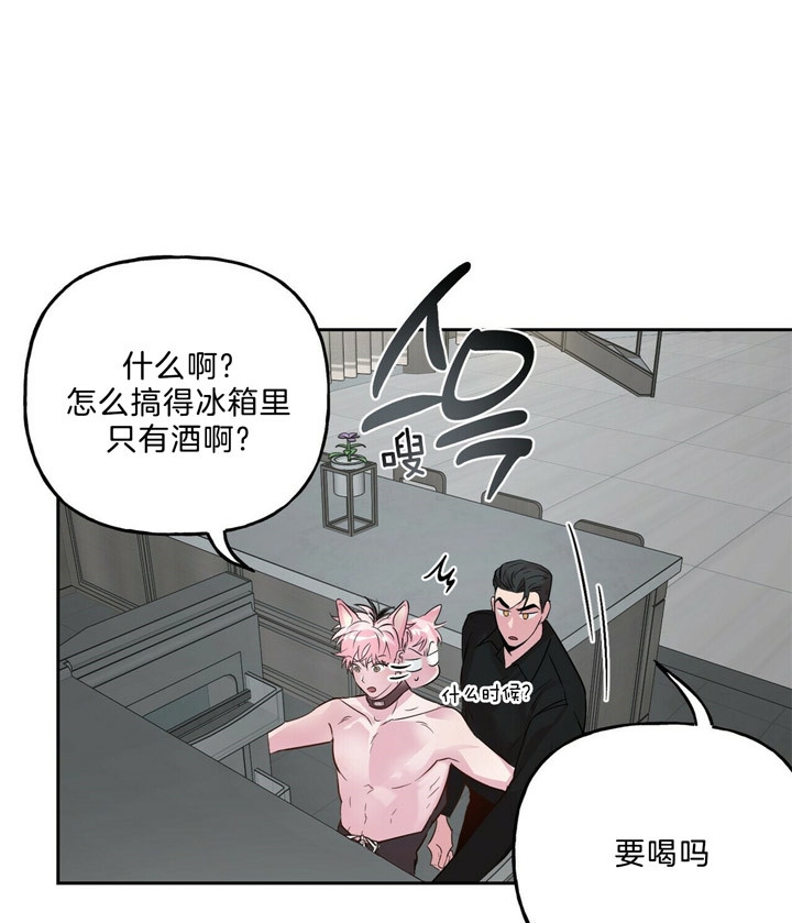 《疯子与疯子》漫画最新章节第54话免费下拉式在线观看章节第【15】张图片