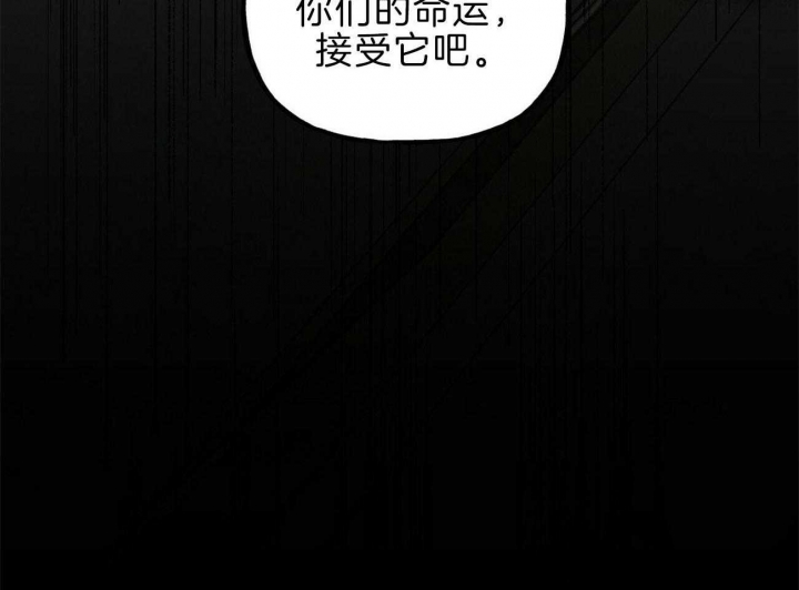 《疯子与疯子》漫画最新章节第119话免费下拉式在线观看章节第【36】张图片