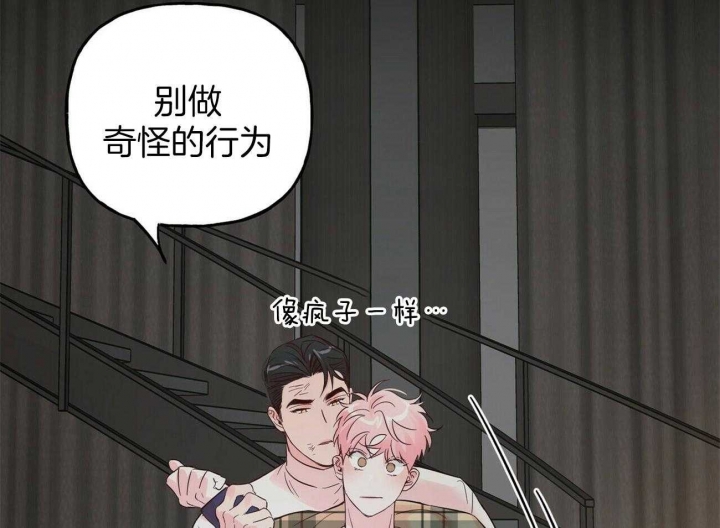 《疯子与疯子》漫画最新章节第90话免费下拉式在线观看章节第【8】张图片