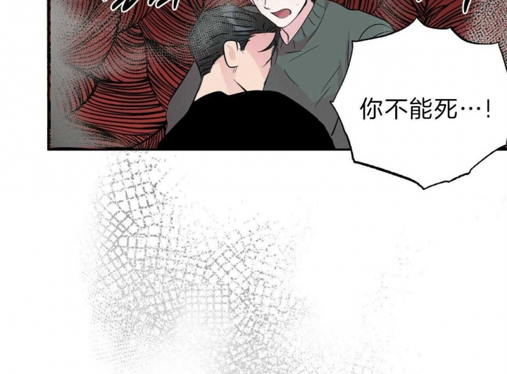 《疯子与疯子》漫画最新章节第119话免费下拉式在线观看章节第【32】张图片