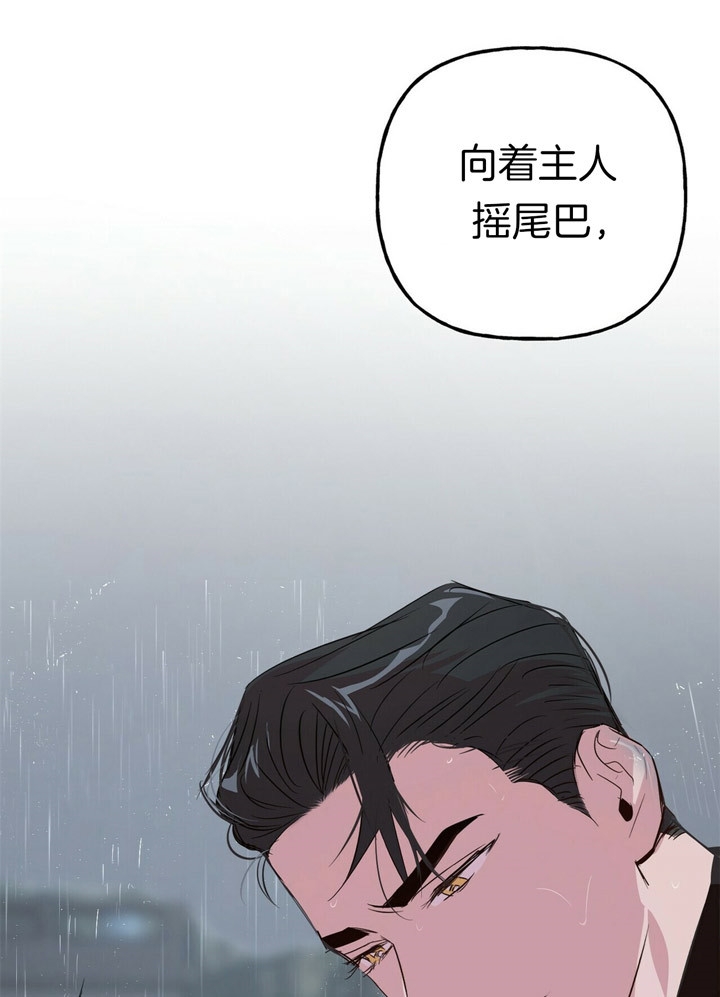 《疯子与疯子》漫画最新章节第52话免费下拉式在线观看章节第【13】张图片