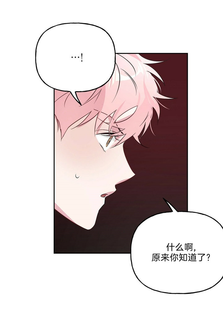 《疯子与疯子》漫画最新章节第53话免费下拉式在线观看章节第【14】张图片