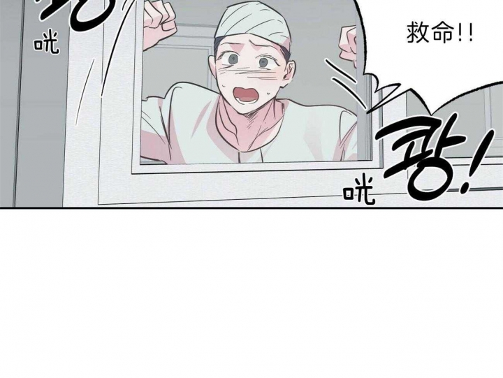 《疯子与疯子》漫画最新章节第117话免费下拉式在线观看章节第【37】张图片