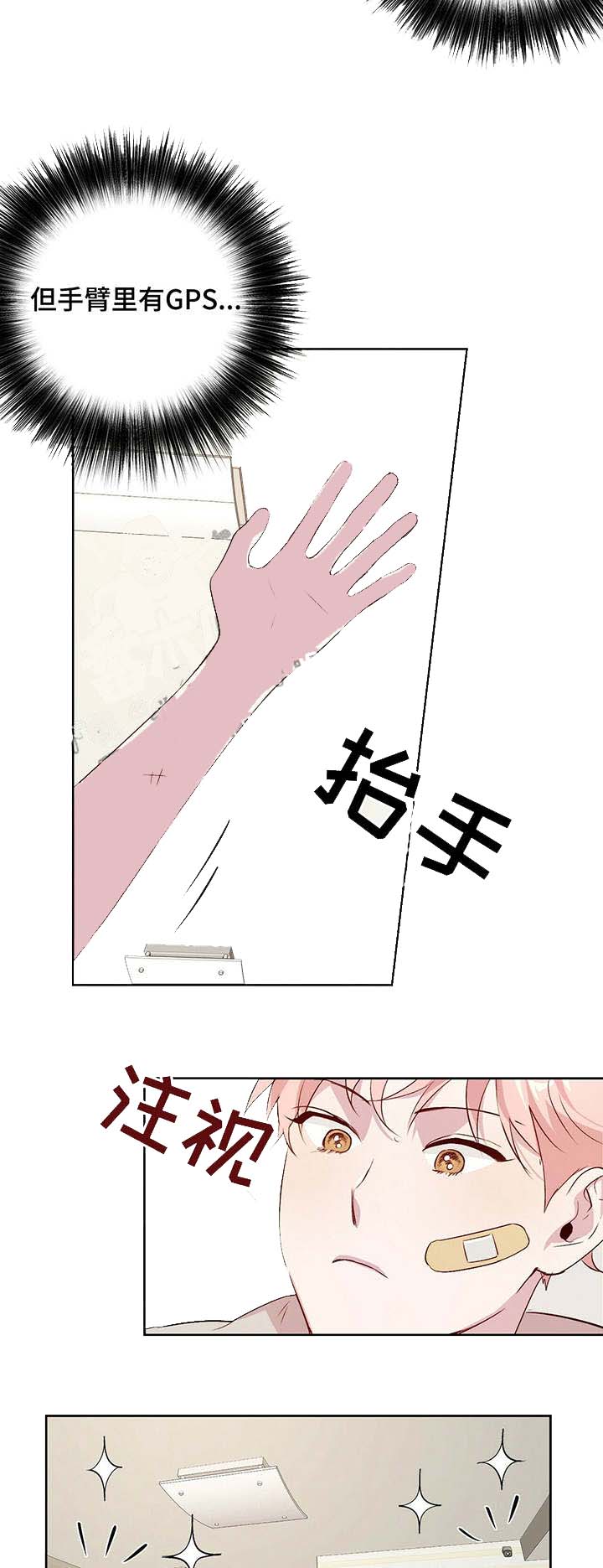 《疯子与疯子》漫画最新章节第29话免费下拉式在线观看章节第【5】张图片