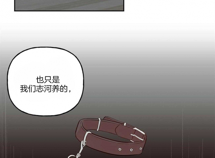 《疯子与疯子》漫画最新章节第101话免费下拉式在线观看章节第【36】张图片