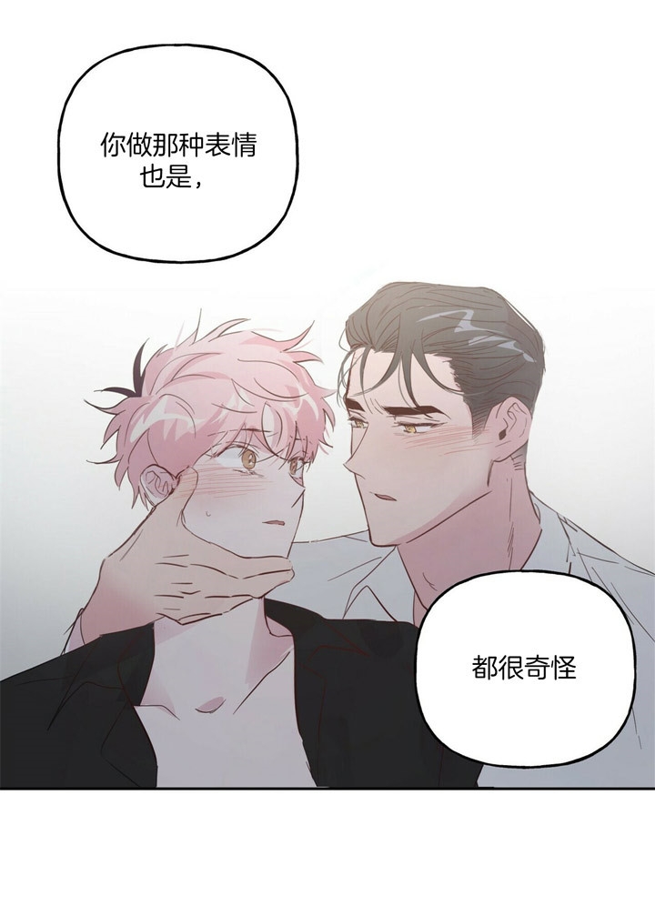 《疯子与疯子》漫画最新章节第71话免费下拉式在线观看章节第【3】张图片