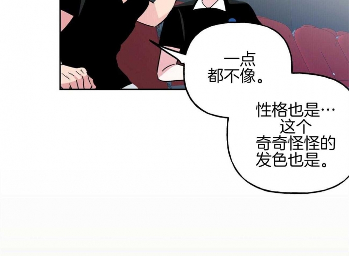 《疯子与疯子》漫画最新章节第141话免费下拉式在线观看章节第【49】张图片