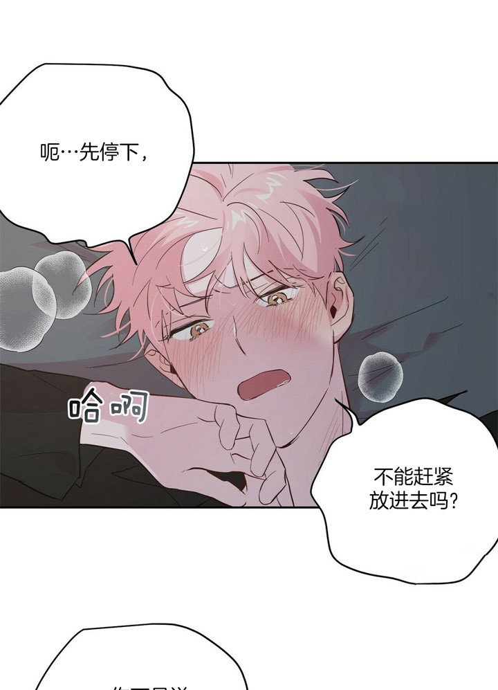 《疯子与疯子》漫画最新章节第70话免费下拉式在线观看章节第【15】张图片