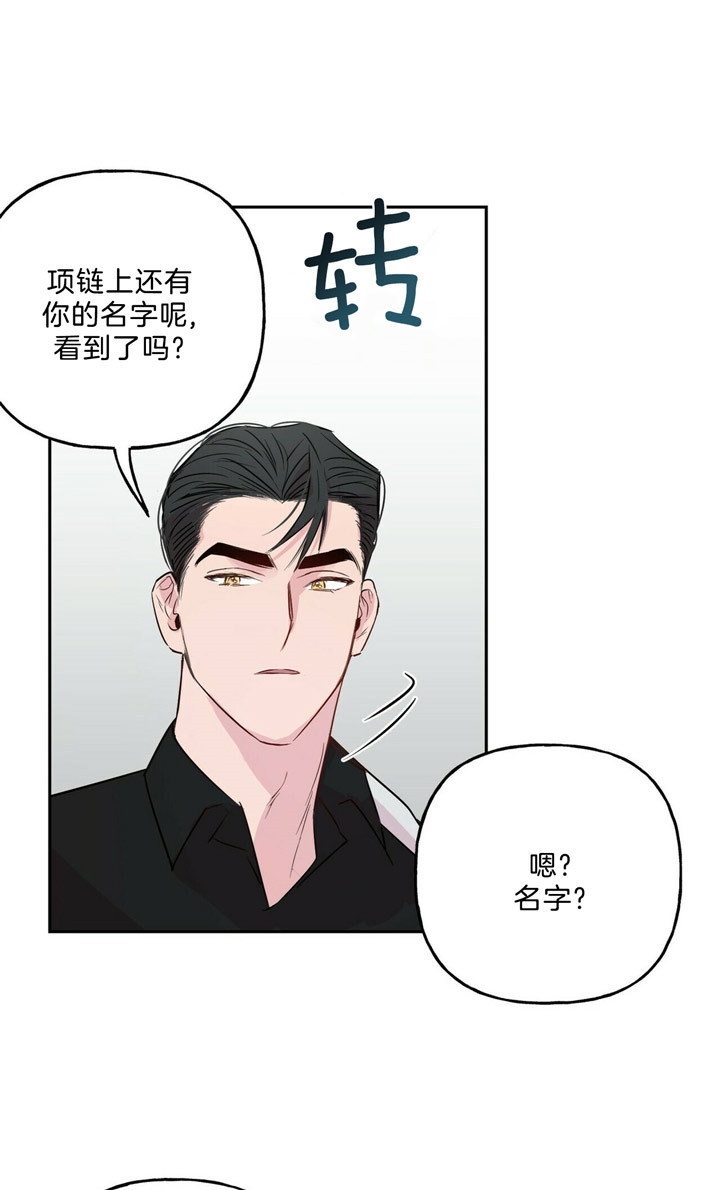 《疯子与疯子》漫画最新章节第53话免费下拉式在线观看章节第【5】张图片