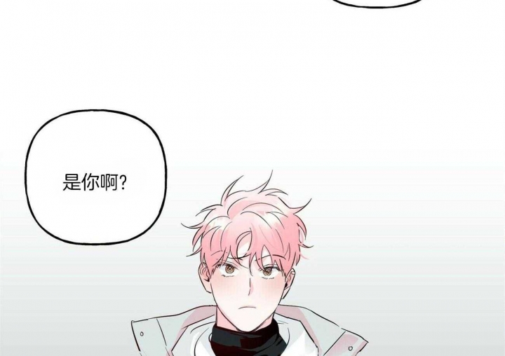 《疯子与疯子》漫画最新章节第101话免费下拉式在线观看章节第【5】张图片