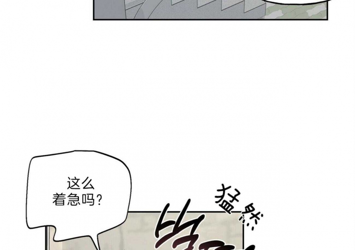 《疯子与疯子》漫画最新章节第112话免费下拉式在线观看章节第【33】张图片