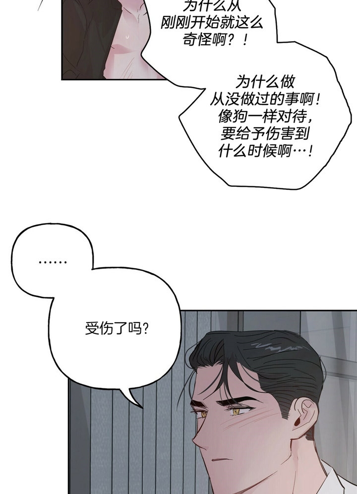 《疯子与疯子》漫画最新章节第70话免费下拉式在线观看章节第【19】张图片