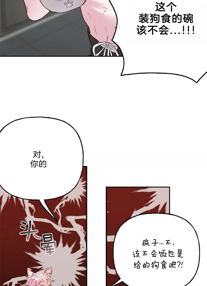 《疯子与疯子》漫画最新章节第54话免费下拉式在线观看章节第【20】张图片