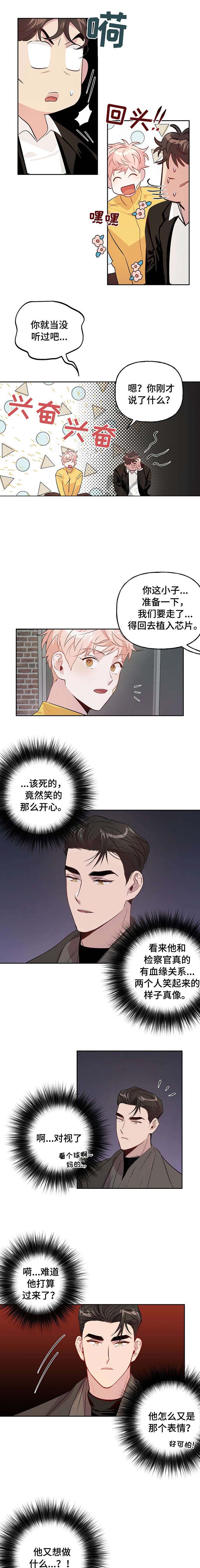 《疯子与疯子》漫画最新章节第28话免费下拉式在线观看章节第【5】张图片