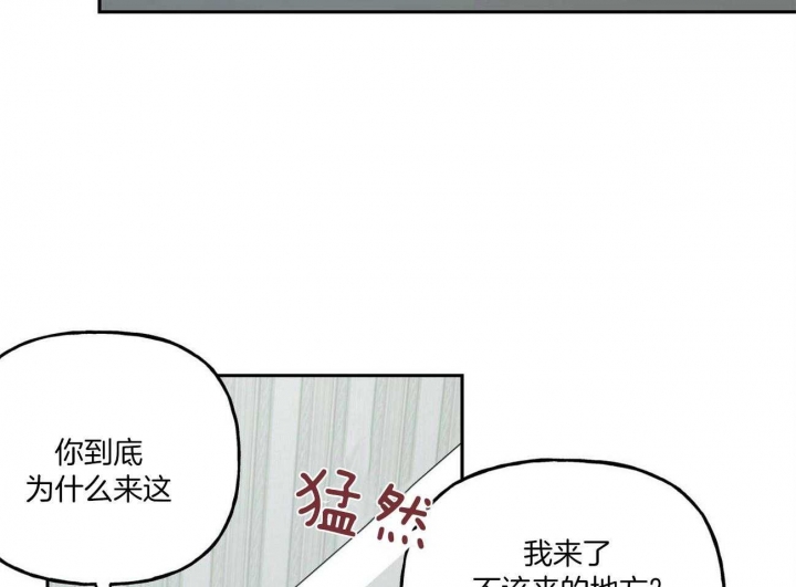 《疯子与疯子》漫画最新章节第102话免费下拉式在线观看章节第【12】张图片