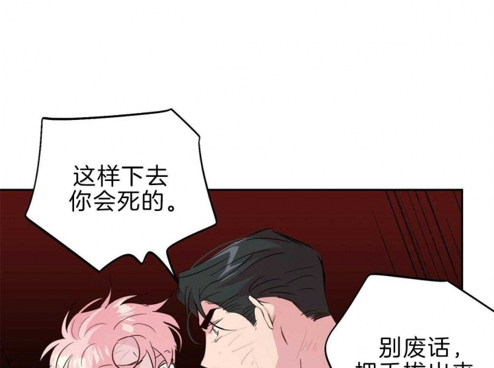 《疯子与疯子》漫画最新章节第116话免费下拉式在线观看章节第【4】张图片