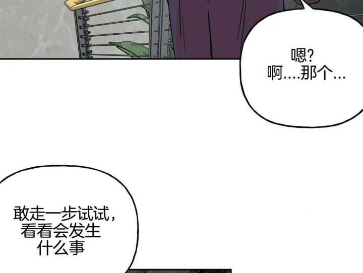 《疯子与疯子》漫画最新章节第79话免费下拉式在线观看章节第【36】张图片