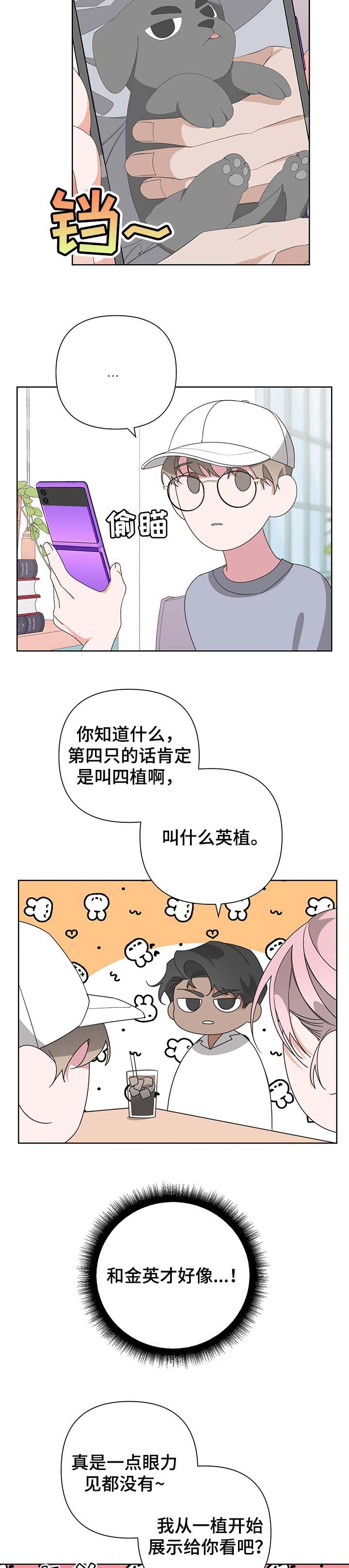 《AVLE》漫画最新章节第63话免费下拉式在线观看章节第【5】张图片