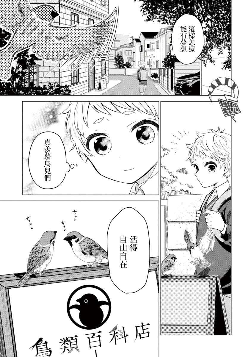 《我与鸟百科店》漫画最新章节第1话免费下拉式在线观看章节第【14】张图片