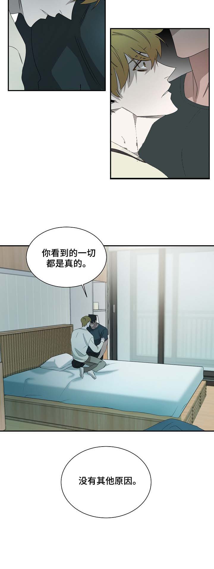 《常青》漫画最新章节第73话免费下拉式在线观看章节第【10】张图片