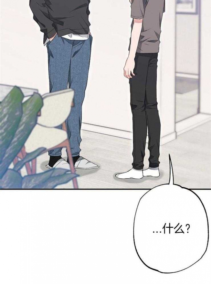 《呼吸同一片空气》漫画最新章节第73话免费下拉式在线观看章节第【32】张图片