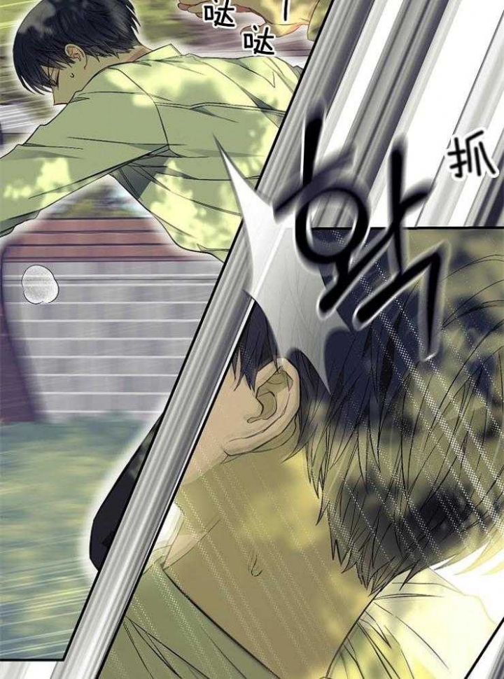 《呼吸同一片空气》漫画最新章节第67话免费下拉式在线观看章节第【13】张图片