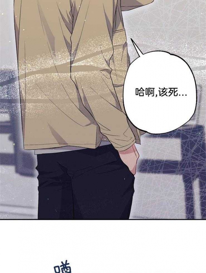 《呼吸同一片空气》漫画最新章节第71话免费下拉式在线观看章节第【4】张图片