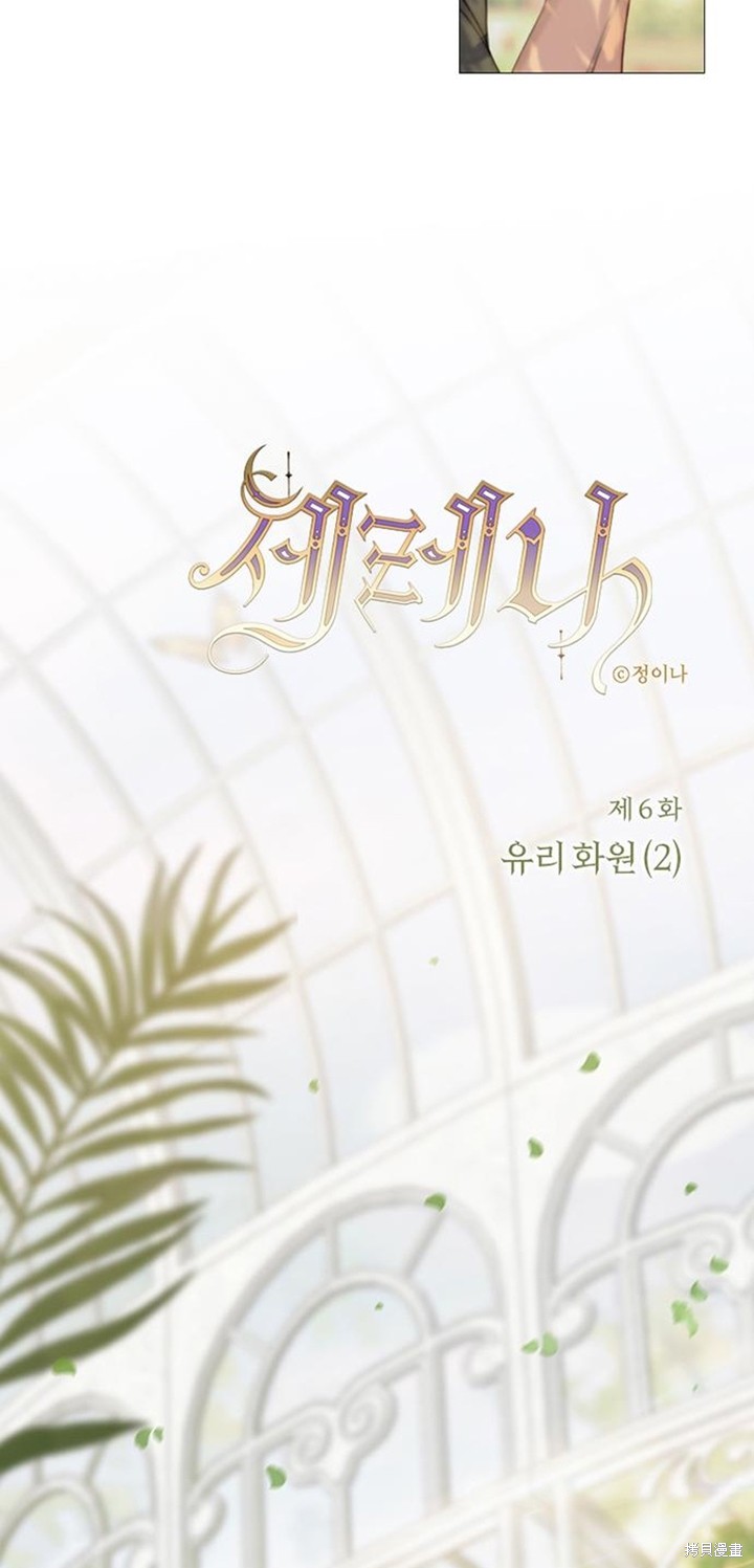 《瑟琳娜》漫画最新章节第6话免费下拉式在线观看章节第【6】张图片