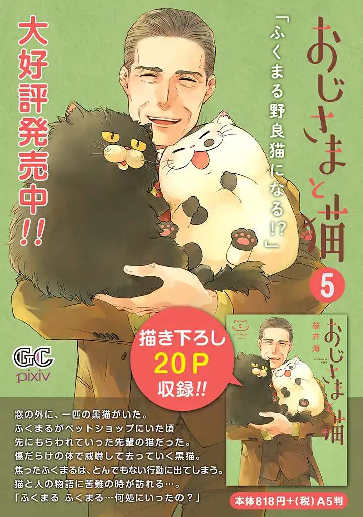 《大叔与猫》漫画最新章节第69话免费下拉式在线观看章节第【11】张图片