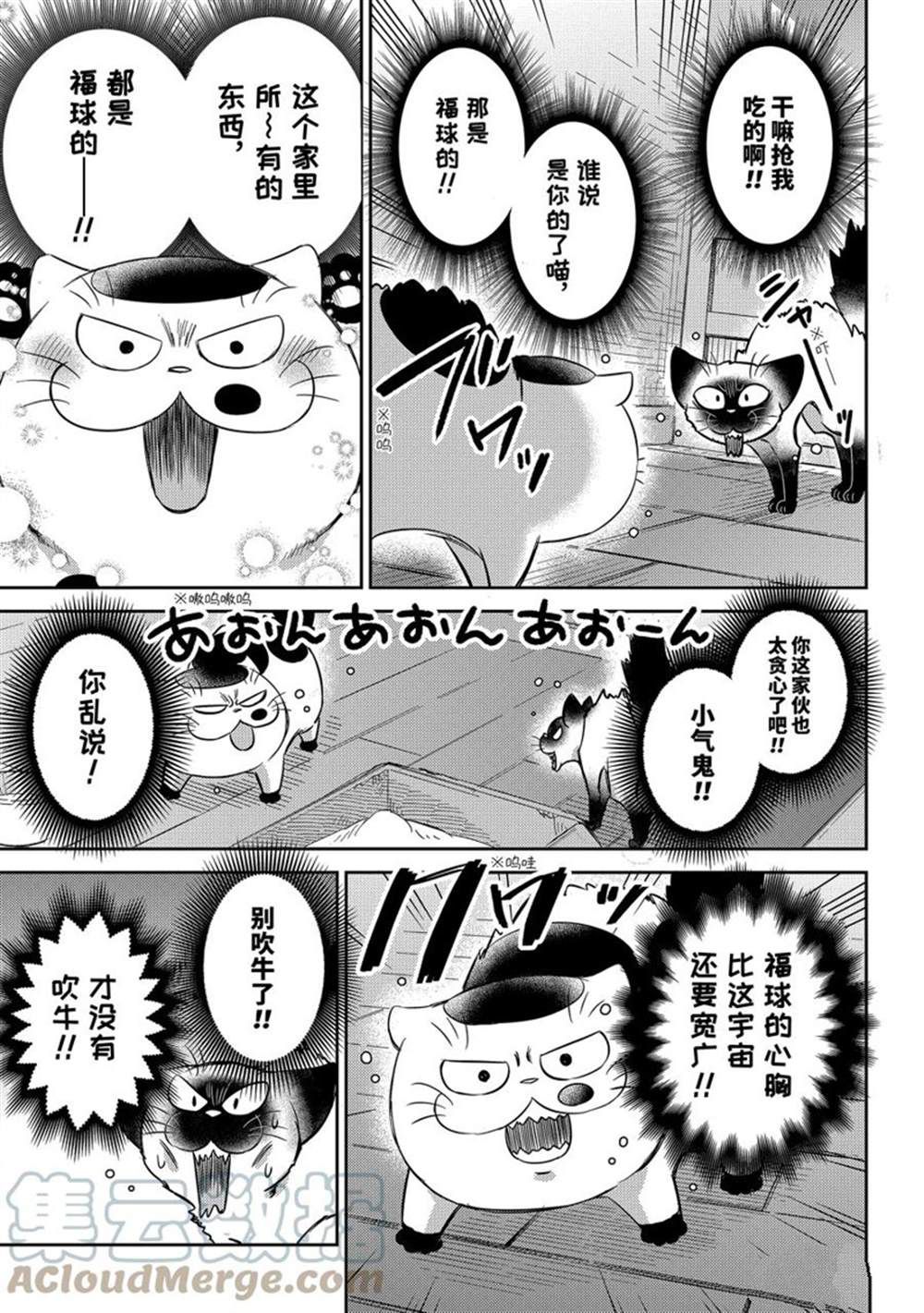 《大叔与猫》漫画最新章节第91话 试看版免费下拉式在线观看章节第【5】张图片