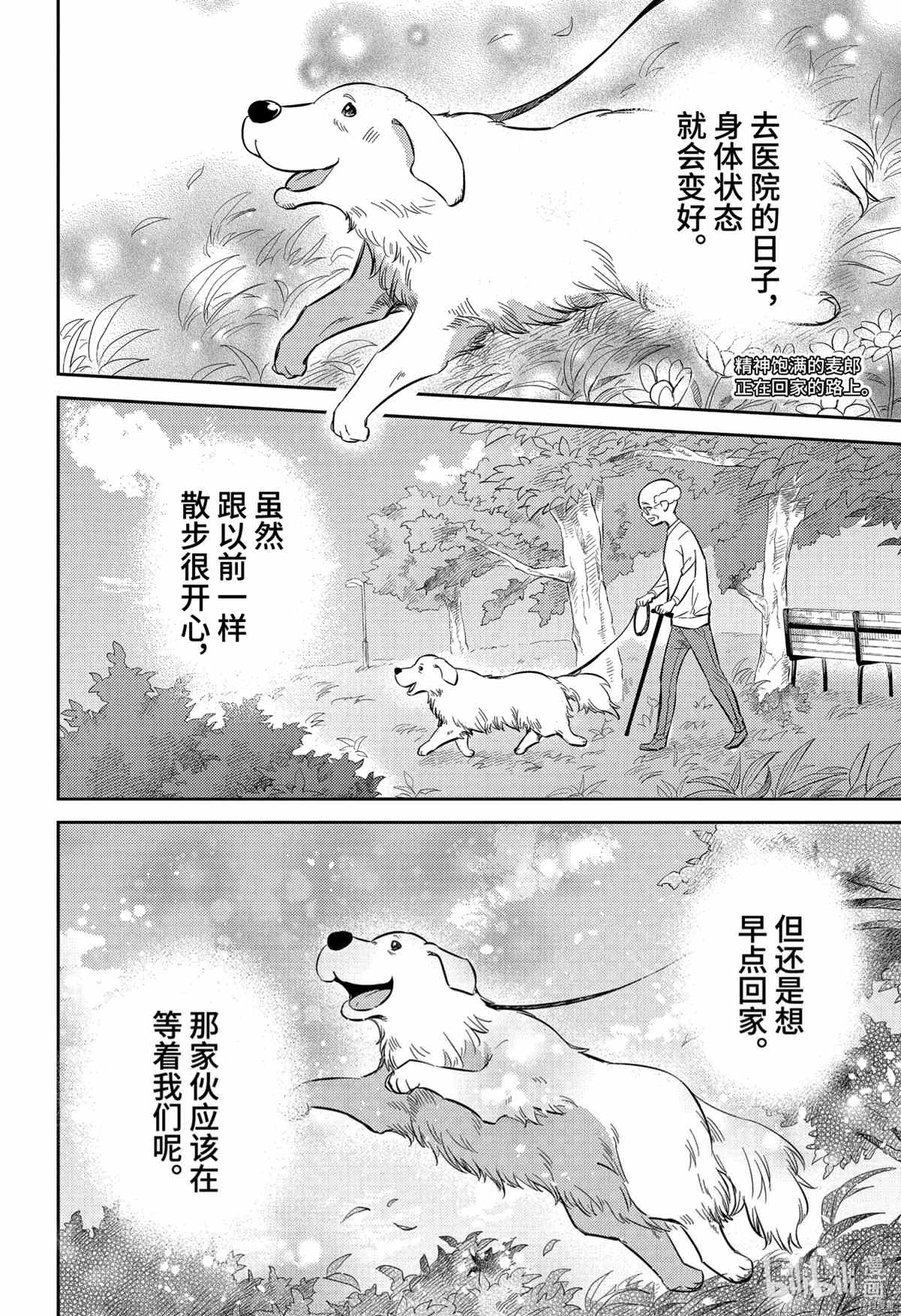 《大叔与猫》漫画最新章节第82话 试看版免费下拉式在线观看章节第【2】张图片