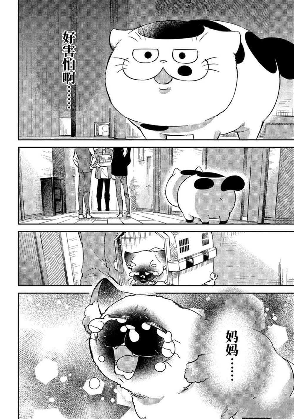 《大叔与猫》漫画最新章节第88话 试看版免费下拉式在线观看章节第【6】张图片