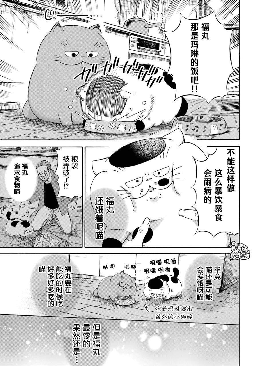 《大叔与猫》漫画最新章节第60话免费下拉式在线观看章节第【7】张图片