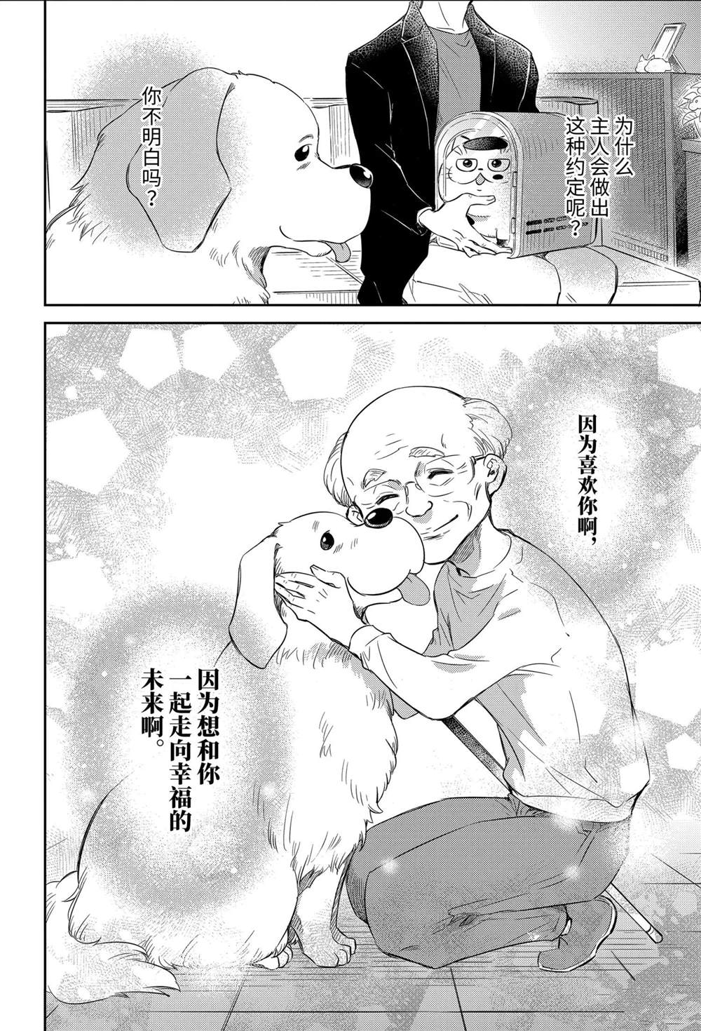 《大叔与猫》漫画最新章节第81话 试看版免费下拉式在线观看章节第【24】张图片