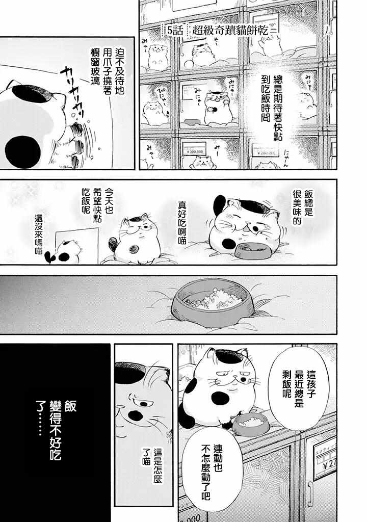 《大叔与猫》漫画最新章节第5话免费下拉式在线观看章节第【1】张图片