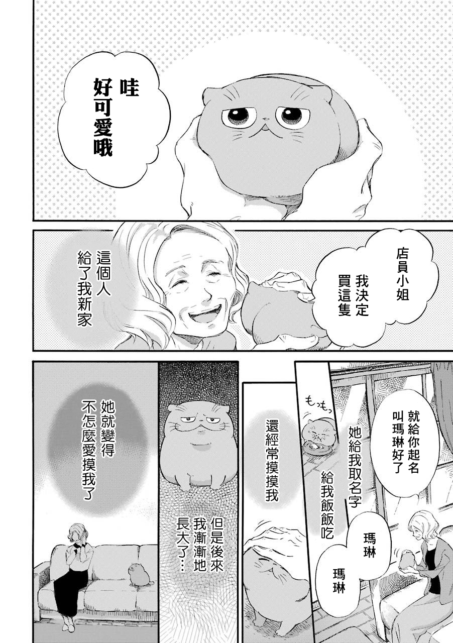 《大叔与猫》漫画最新章节第37话免费下拉式在线观看章节第【2】张图片