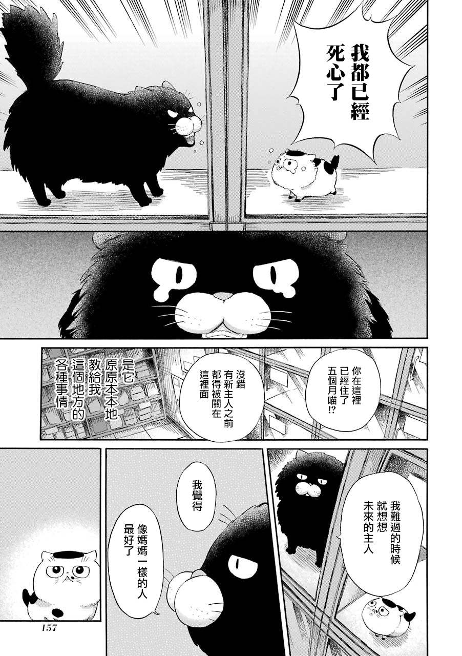 《大叔与猫》漫画最新章节第47话免费下拉式在线观看章节第【4】张图片