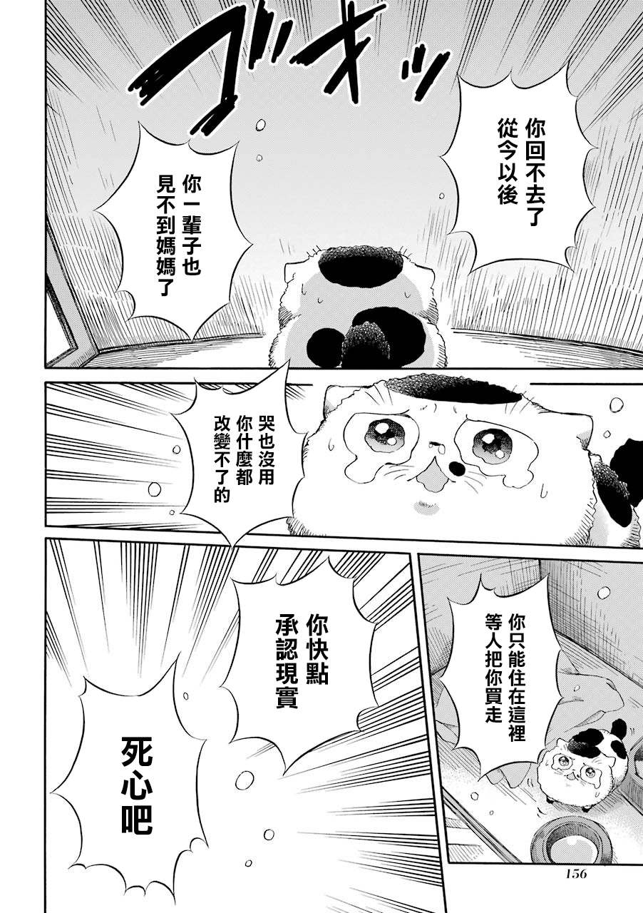 《大叔与猫》漫画最新章节第47话免费下拉式在线观看章节第【3】张图片