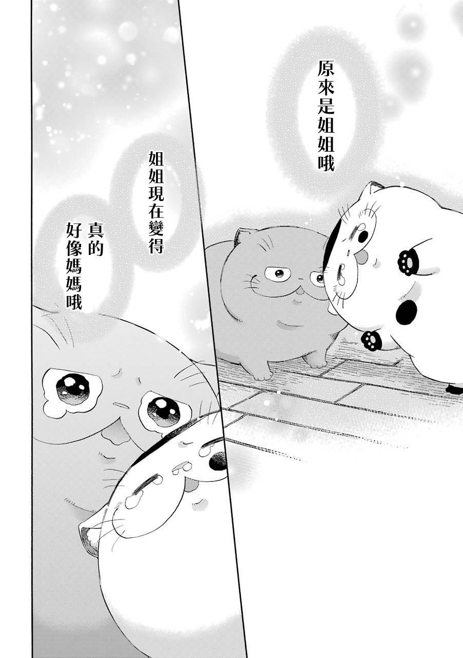 《大叔与猫》漫画最新章节第42话免费下拉式在线观看章节第【8】张图片