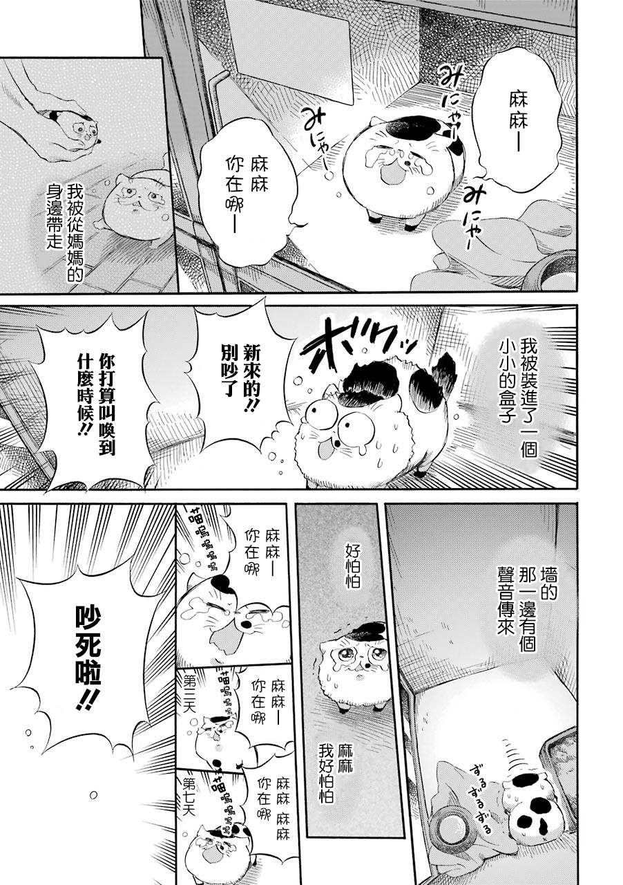 《大叔与猫》漫画最新章节第47话免费下拉式在线观看章节第【2】张图片