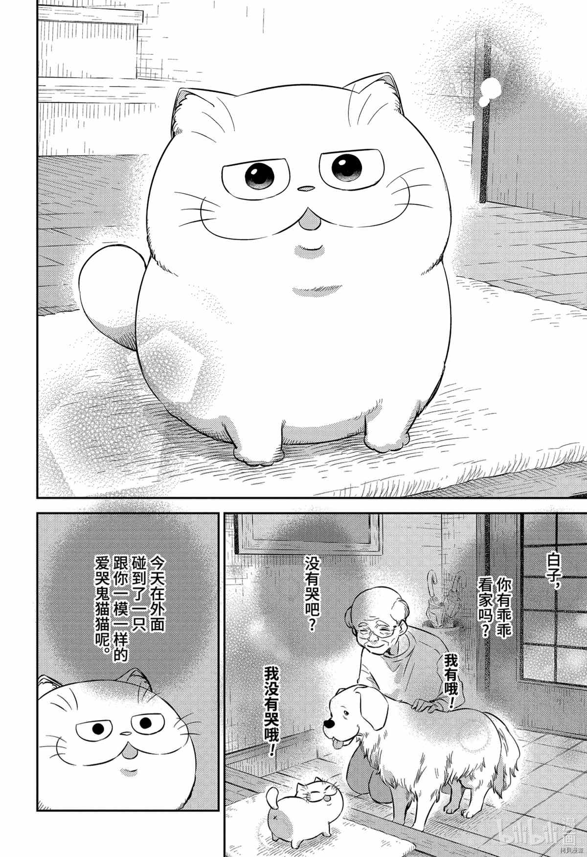 《大叔与猫》漫画最新章节第82话 试看版免费下拉式在线观看章节第【4】张图片