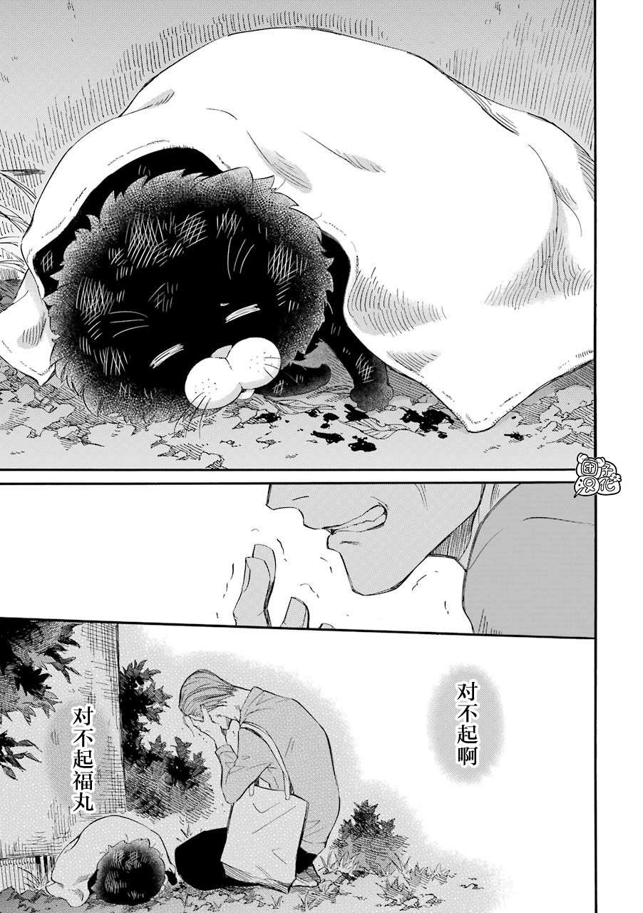 《大叔与猫》漫画最新章节第49话免费下拉式在线观看章节第【13】张图片