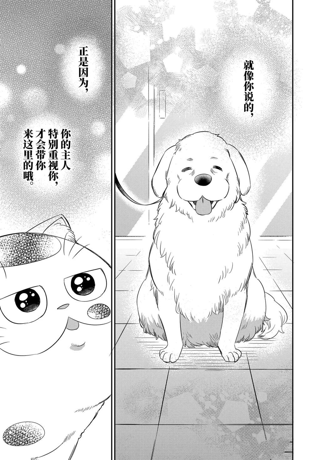 《大叔与猫》漫画最新章节第81话 试看版免费下拉式在线观看章节第【17】张图片