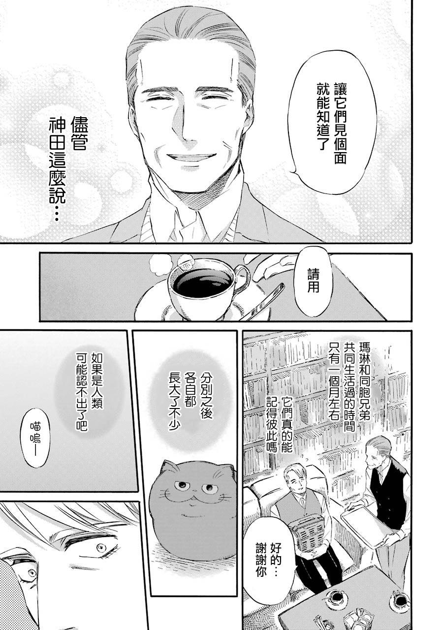 《大叔与猫》漫画最新章节第42话免费下拉式在线观看章节第【3】张图片