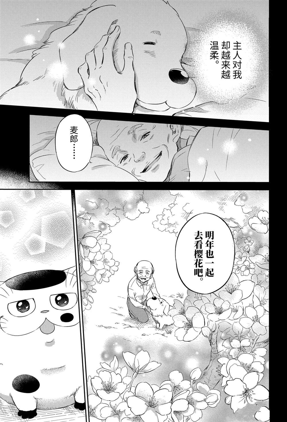 《大叔与猫》漫画最新章节第81话 试看版免费下拉式在线观看章节第【23】张图片